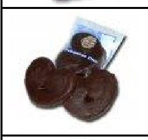 C2774-Palmeras Choco U. Codan