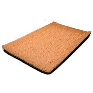 Plancha Bizcocho 290G